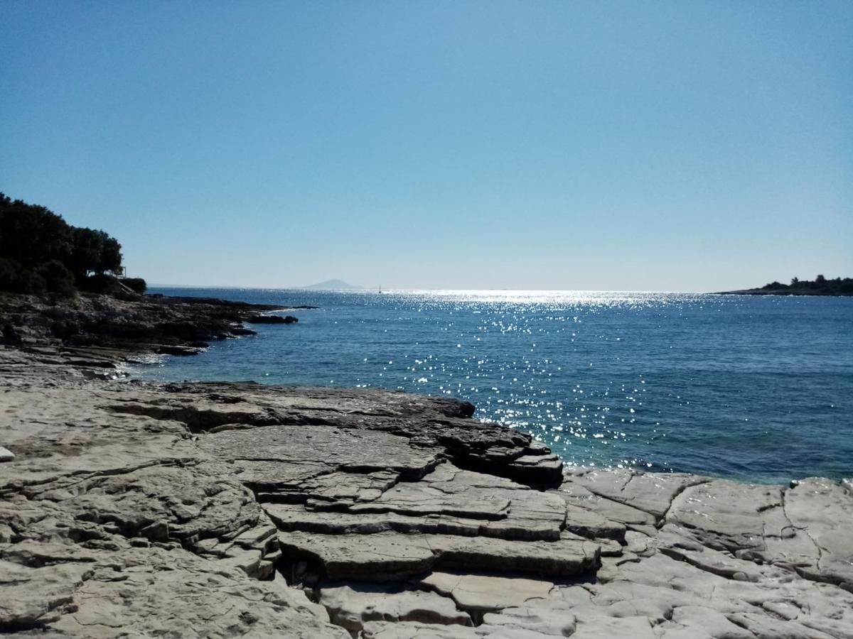 Kuca Za Odmor Dean Villa Pavicini Exteriör bild