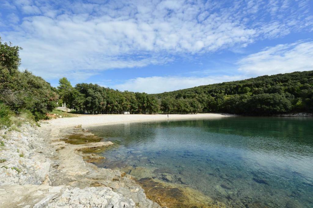 Kuca Za Odmor Dean Villa Pavicini Exteriör bild